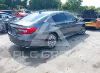 2020 Honda Accord photo