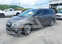 2020 Honda ODYSSEY фото