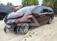 2020 Honda ODYSSEY photo