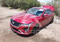 2020 Cadillac CT4 фото