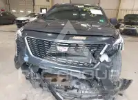 2020 Cadillac XT4 фото