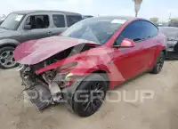 2020 Tesla Model Y photo