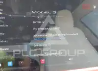 2020 Tesla Model 3 photo