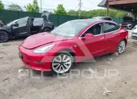 2020 Tesla Model 3 фото