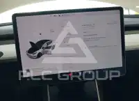 2020 Tesla Model 3 фото