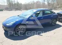 2020 Tesla Model 3 фото