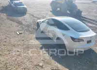 2020 Tesla Model 3 photo