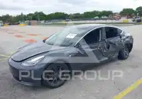 2020 Tesla Model 3 photo
