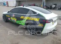 2020 Tesla Model 3 photo