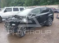 2020 Lexus NX300 фото