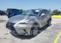 2020 Lexus NX300 фото