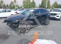 2020 Lexus NX300 фото