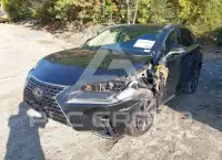 2020 Lexus NX300 фото