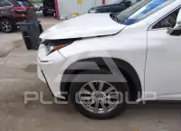 2020 Lexus NX300 фото