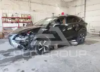 2020 Lexus NX300 фото