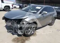 2020 Lexus NX300 фото
