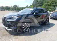 2020 Lexus NX300 фото