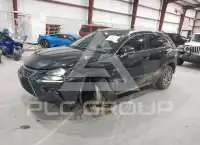 2020 Lexus NX300 фото