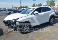 2020 Lexus NX300 фото