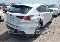 2020 Lexus NX300 фото