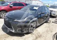2020 Lexus UX250 photo