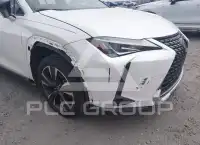 2020 Lexus UX250 photo