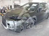 2020 Lexus UX250 фото