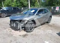 2020 Lexus UX250 фото