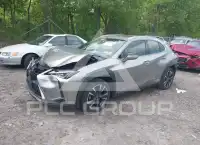 2020 Lexus UX250 фото