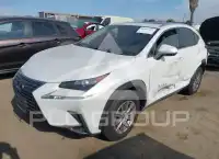 2020 Lexus NX300 фото