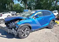 2020 Lexus NX300 photo