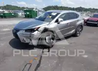 2020 Lexus NX300 фото
