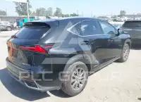 2020 Lexus NX300 фото