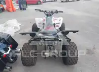 2020 Yamaha YFM700 фото