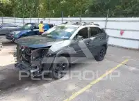 2020 Toyota RAV4 photo