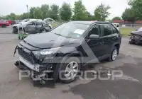 2020 Toyota RAV4 photo