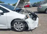 2020 Toyota COROLLA photo