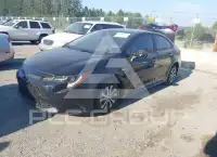 2020 Toyota COROLLA фото