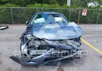 2020 Toyota COROLLA photo
