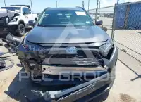 2020 Toyota RAV4 фото