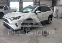 2020 Toyota RAV4 photo