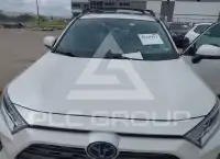 2020 Toyota RAV4 photo