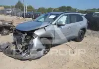 2020 Toyota RAV4 photo