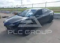 2020 Toyota AVALON photo