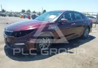 2020 KIA Optima фото