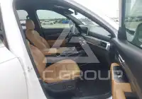 2020 KIA Telluride photo
