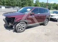 2020 KIA Telluride фото