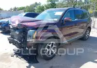 2020 KIA Telluride photo