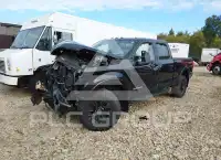 2020 Ford F-250 фото