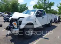 2020 Ford F-250 фото